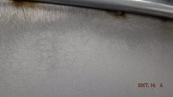 171004 69 Ford Mustang (6).JPG